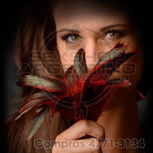- Plumas Scarlet Red - BUAC-981 - Plumas Scarlet Red