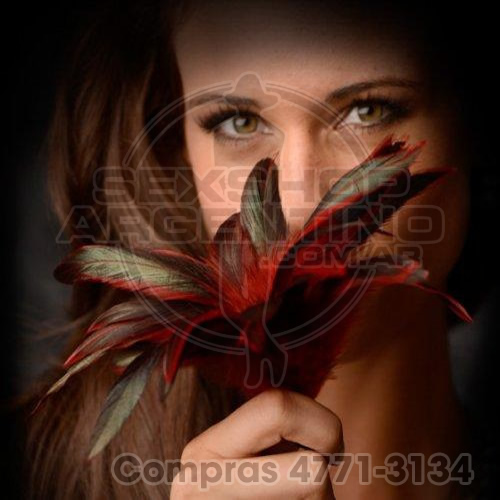 - Plumas Scarlet Red